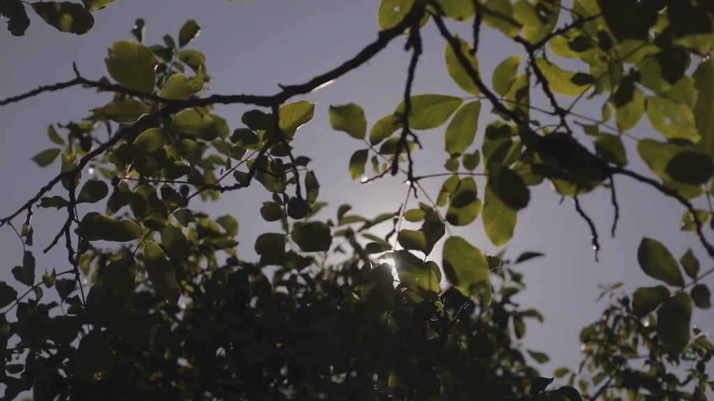 APPLES-AND-BANANAS-CAMPAIGN-VIDEO
